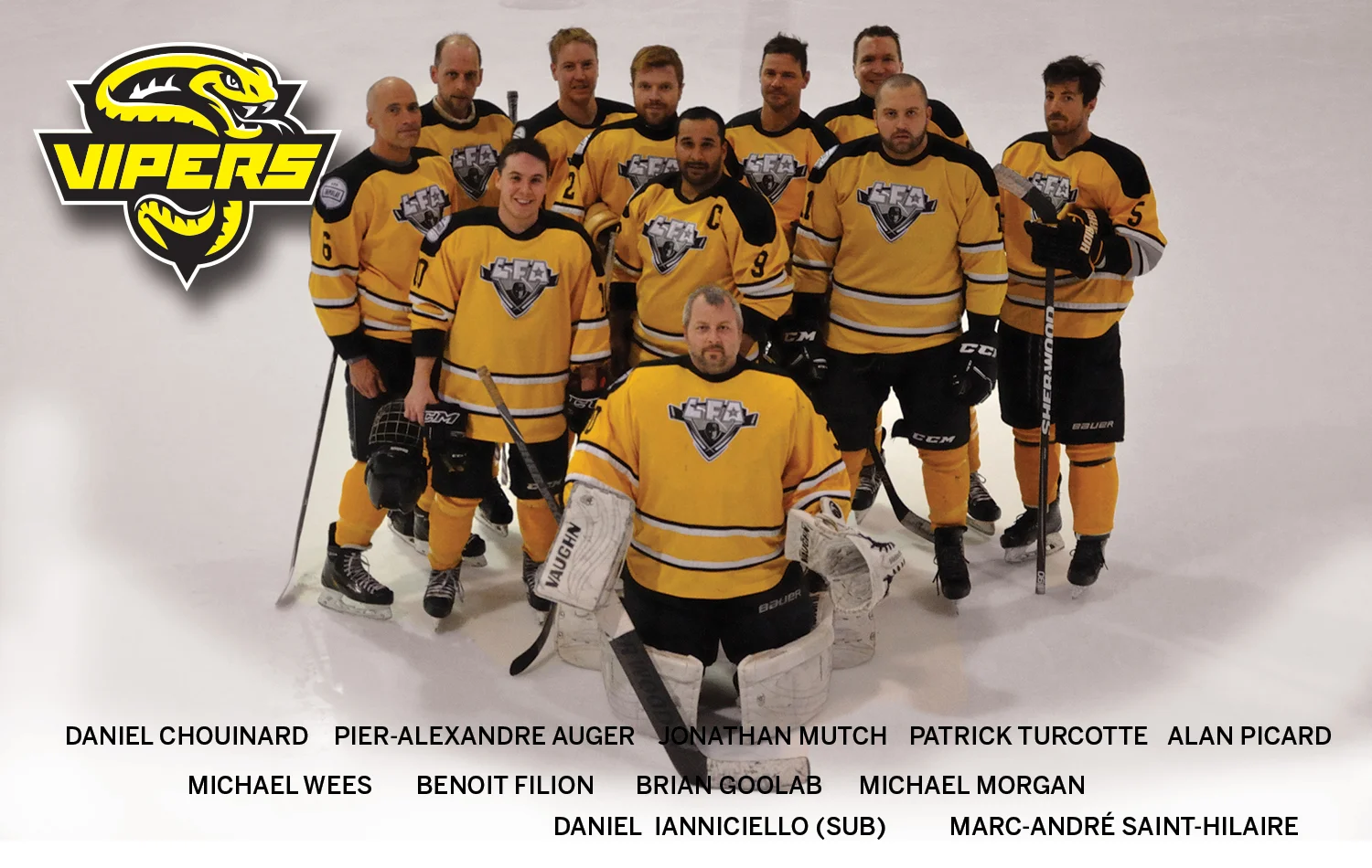 VIPERS_2017-2018
