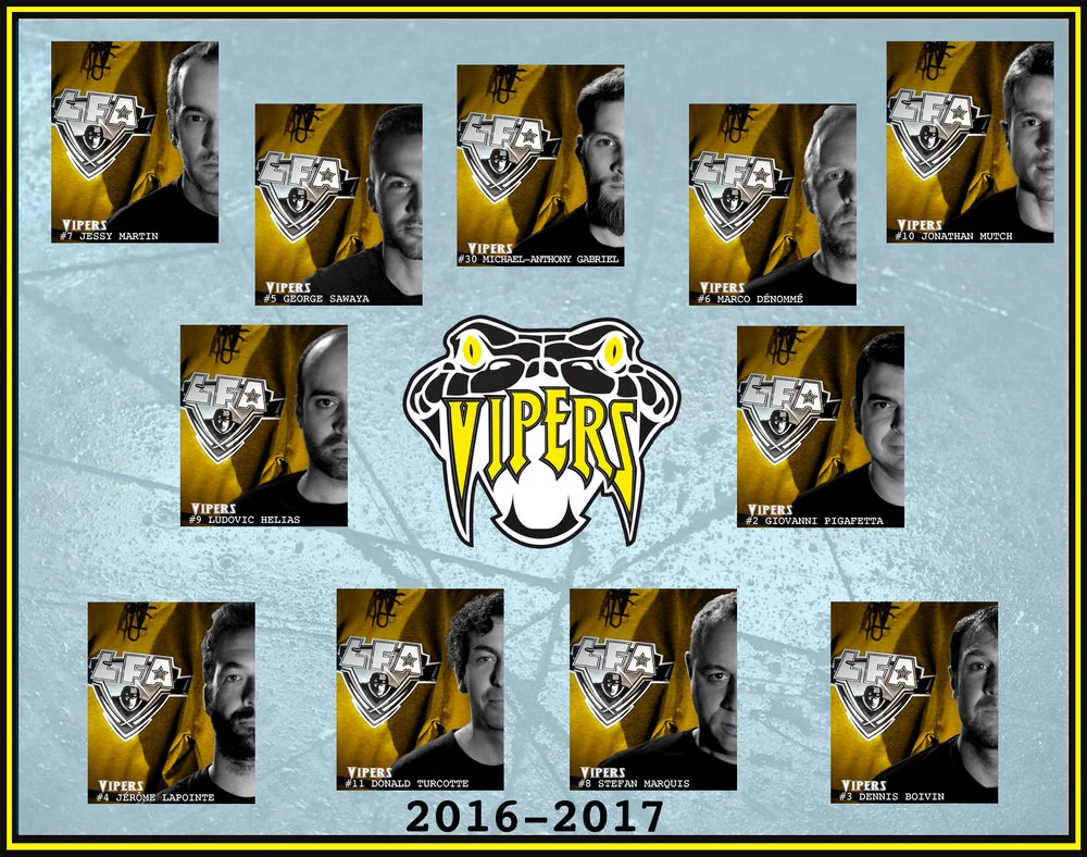 Vipers 2016-2017