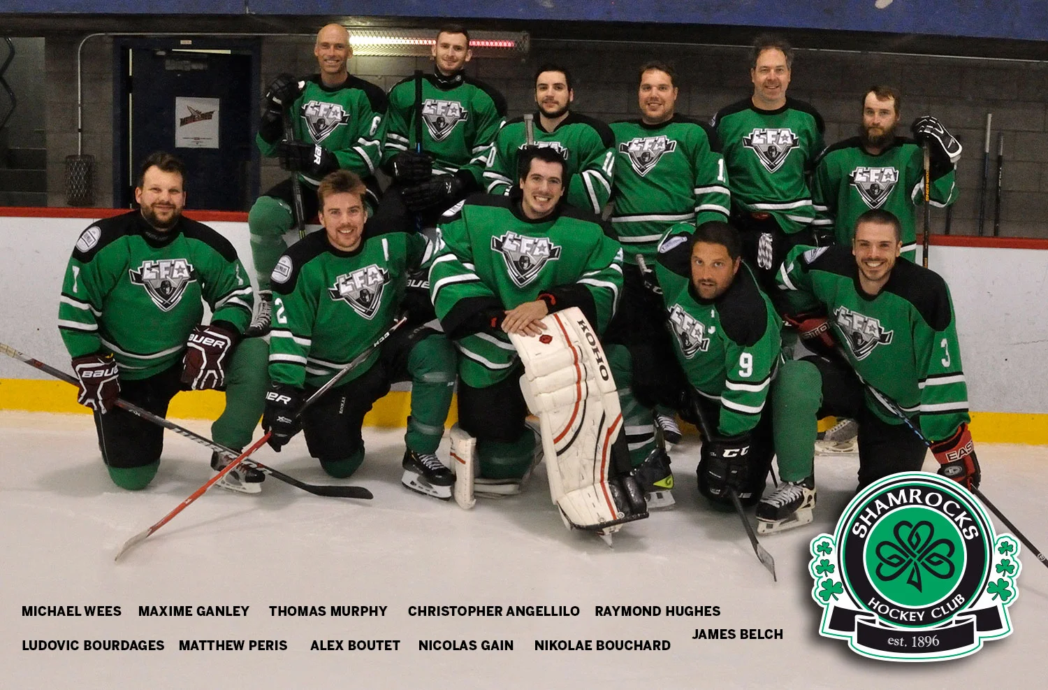 shamrocks Été 2018