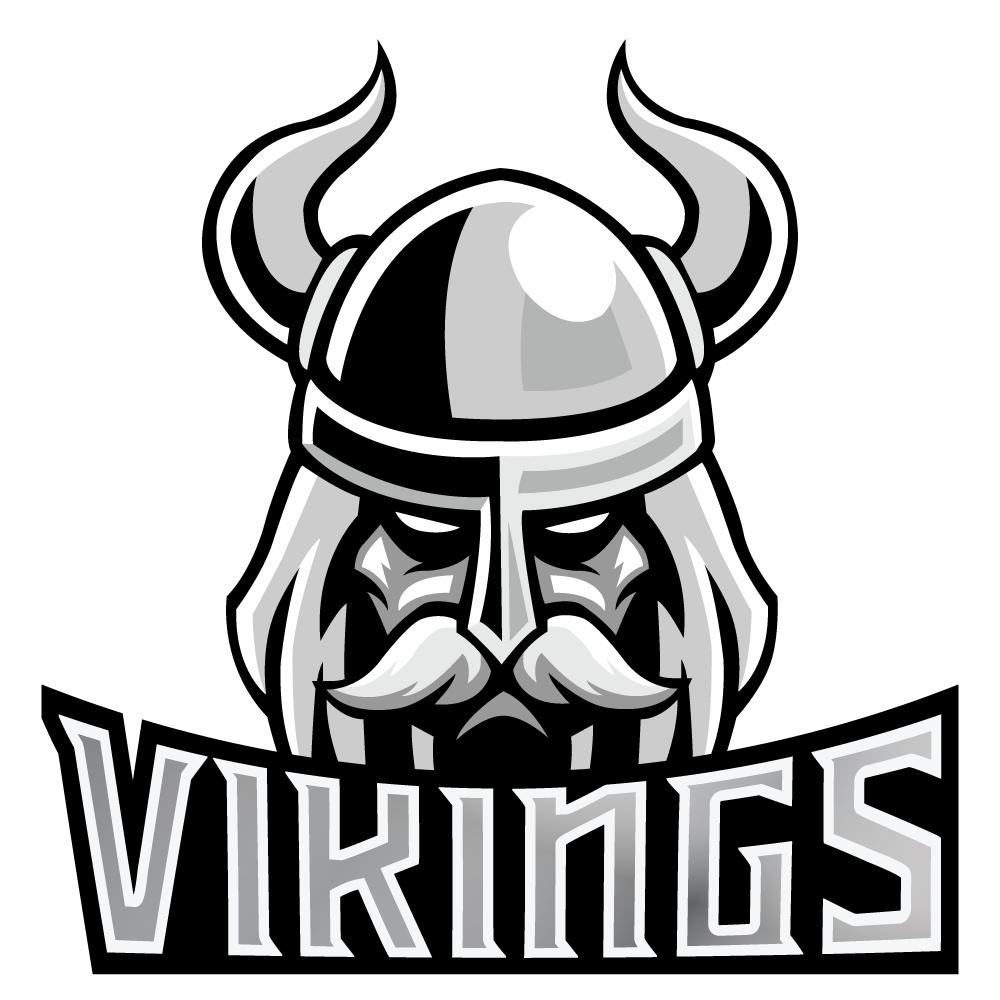 vikings2017